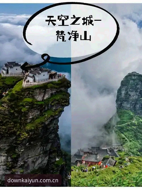 揭秘开云中国官方网站入口的真实体验——它到底行不行？